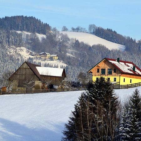 Almferienhaus Russmann Frantschach Екстериор снимка