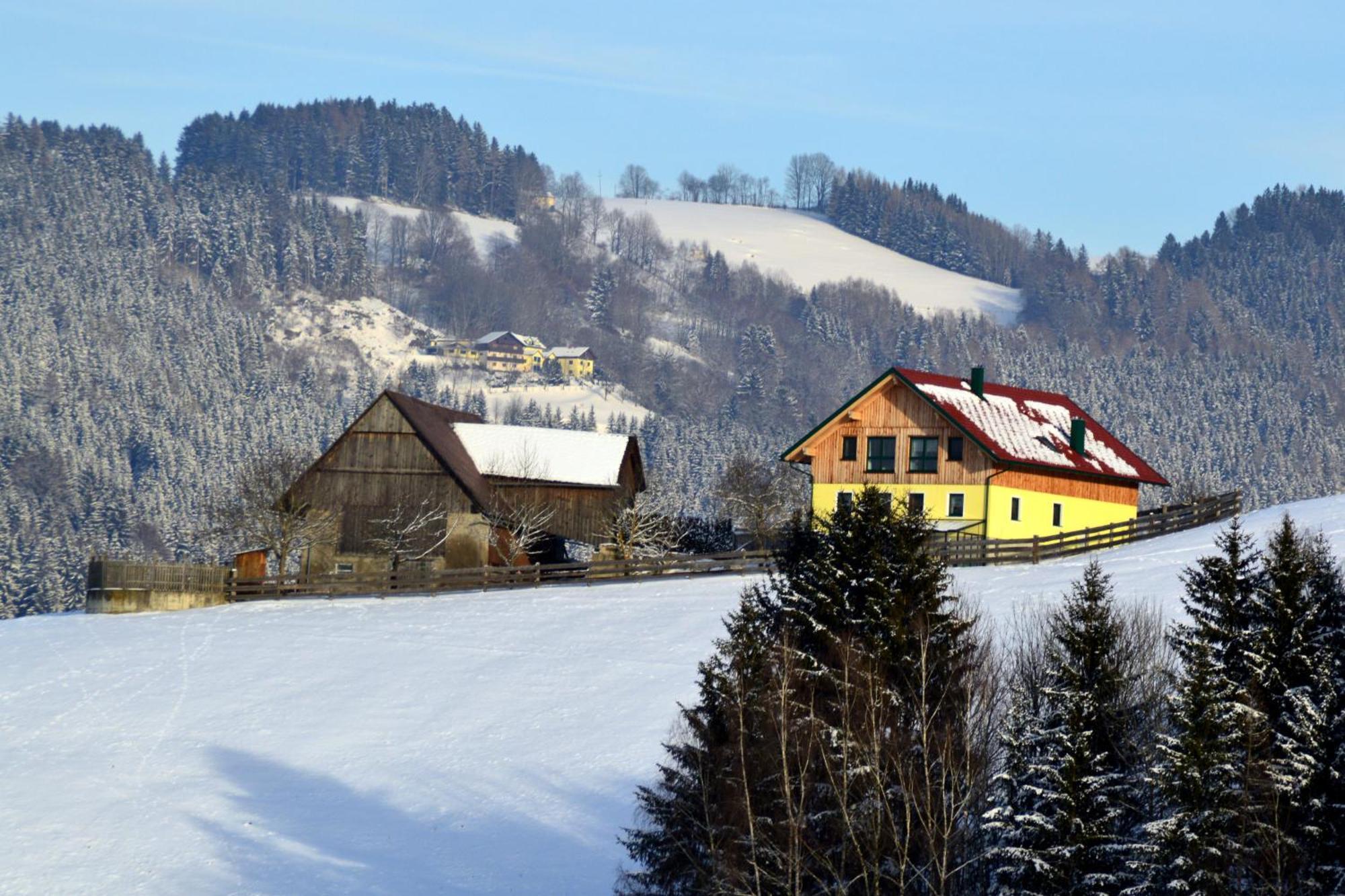 Almferienhaus Russmann Frantschach Екстериор снимка
